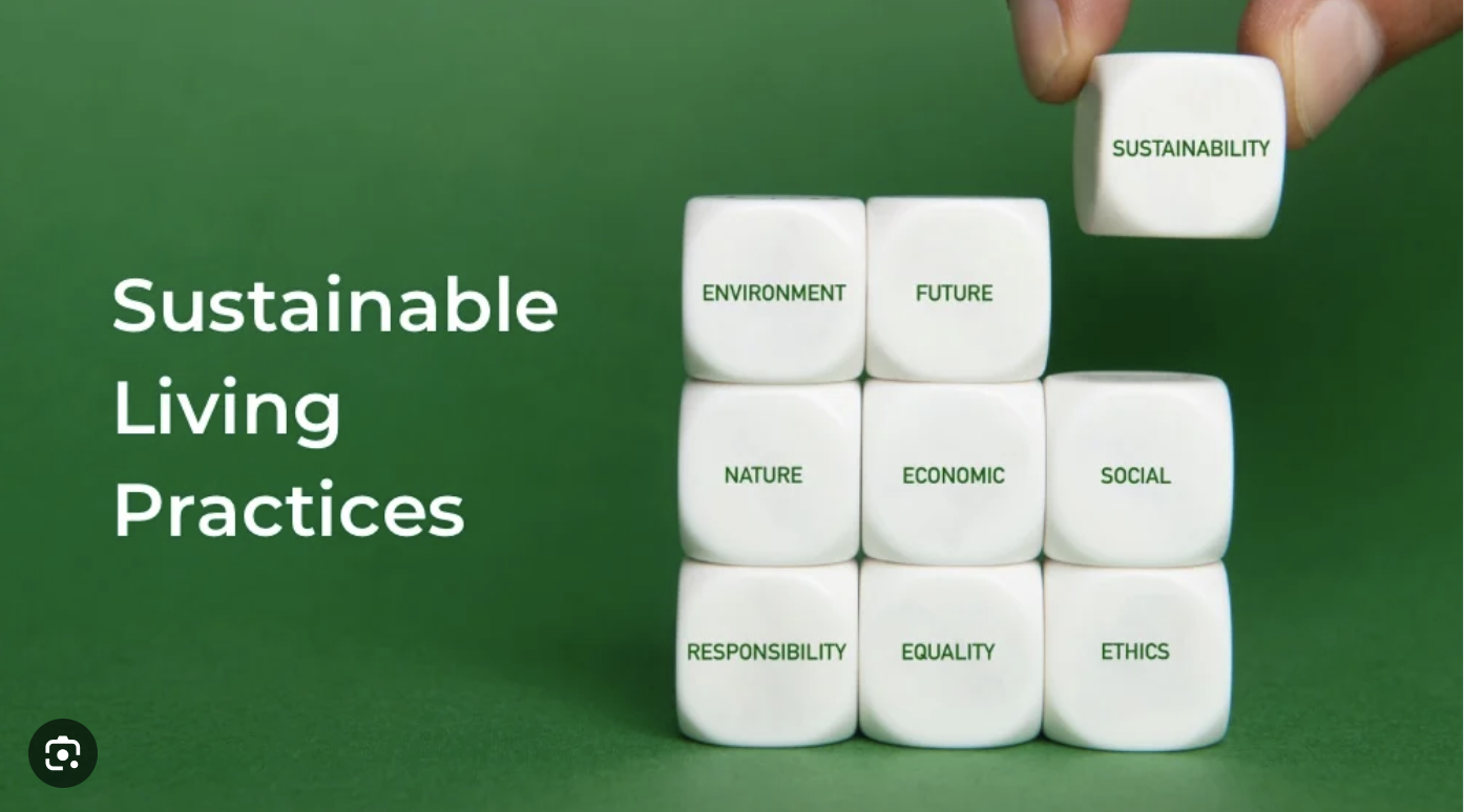 Sustainable Living in 2025: 15 Eco-Friendly Practices for a Greener Future